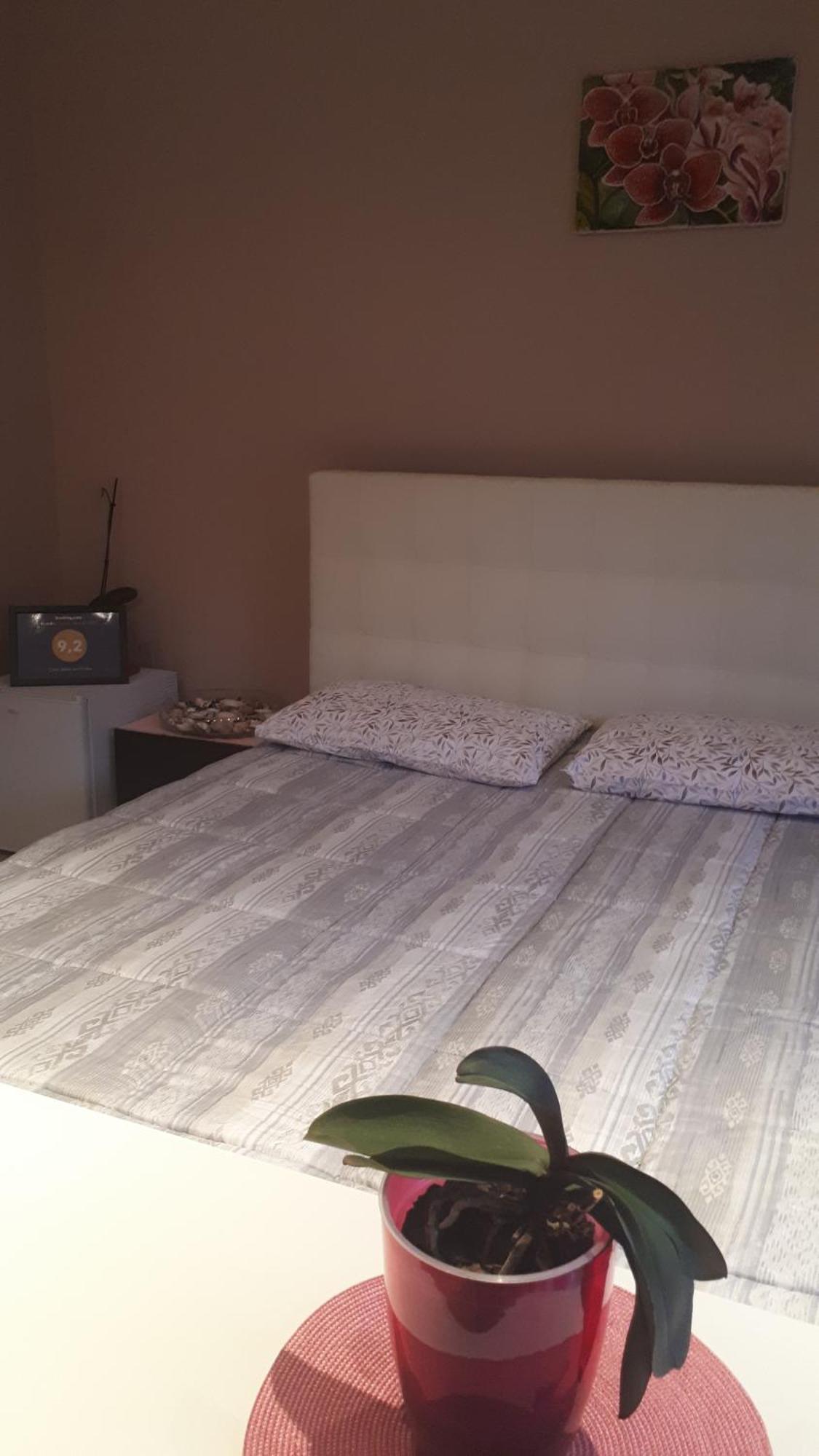 מלון אלבה Casa Delle Orchidee חדר תמונה